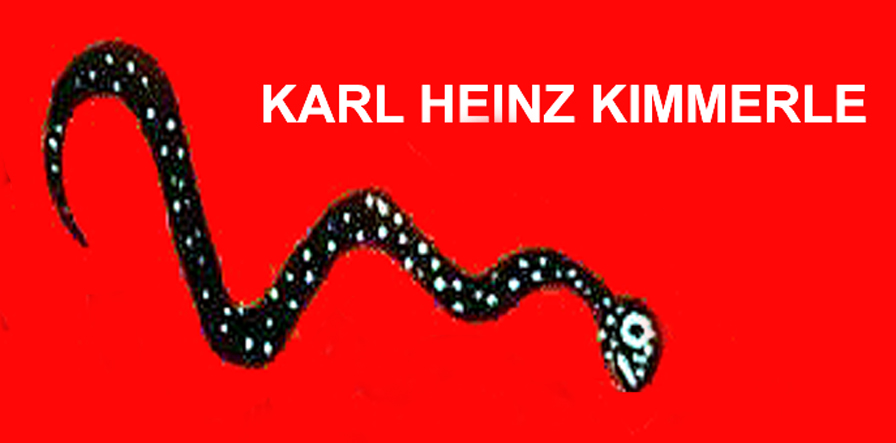 heinz kimmerle